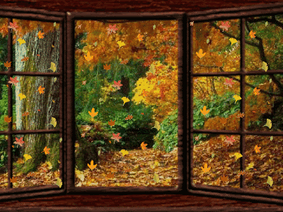 432b6-autumn-leaves-fall-gif-falling-piles-window-seasons-change